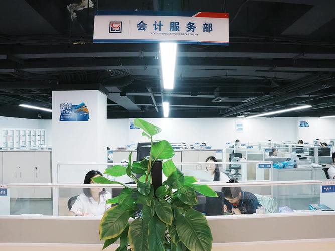 苏州注册公司及代理记账全指南 如何选择专业财税服务