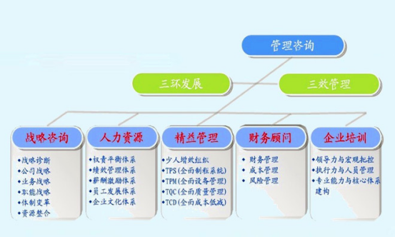 3C管理系统介绍与服务解读 财务管理咨询的全面指南